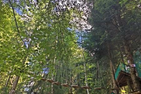 Le Limonadier Pruniere Esterno foto
